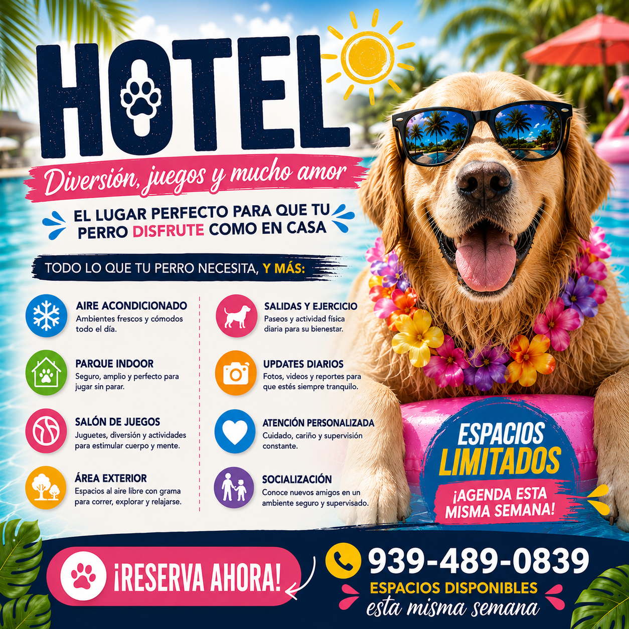 The Pet Pawradise Facebook ad