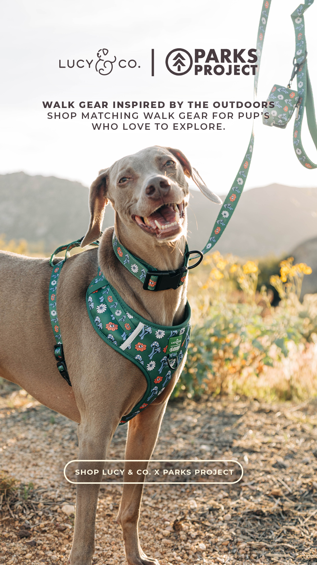 Lucy & Co. Facebook ad
