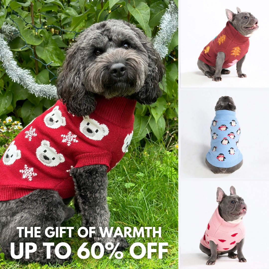 Spark Paws Facebook ad