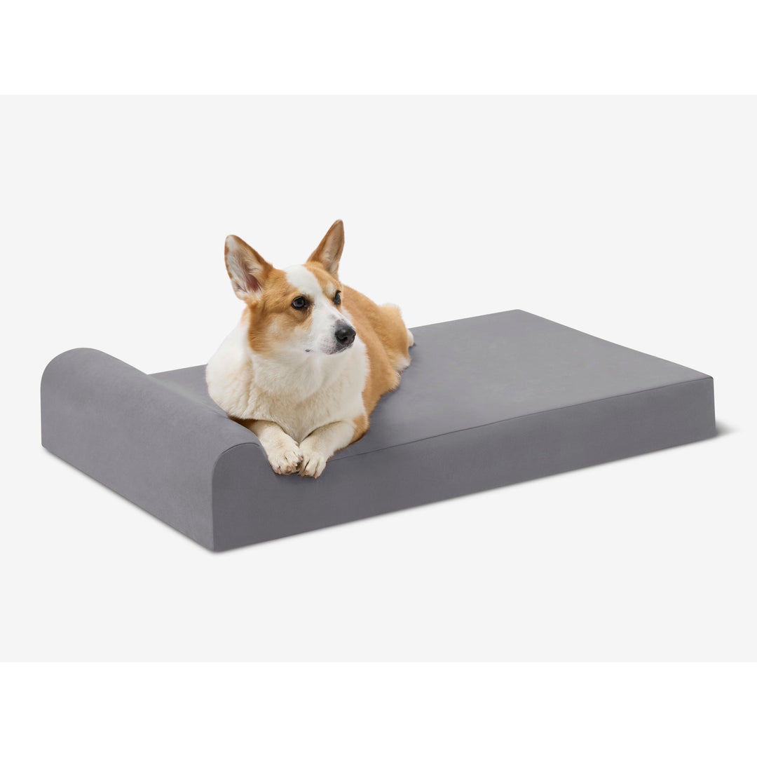 Barker Dog Beds Facebook ad