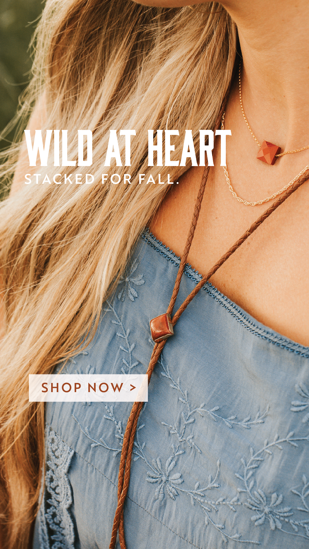 Hello Adorn Facebook ad