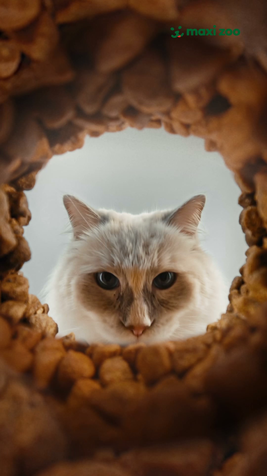 Maxi Zoo Polska Facebook ad: Royal Canin Precyzyjne żywienie