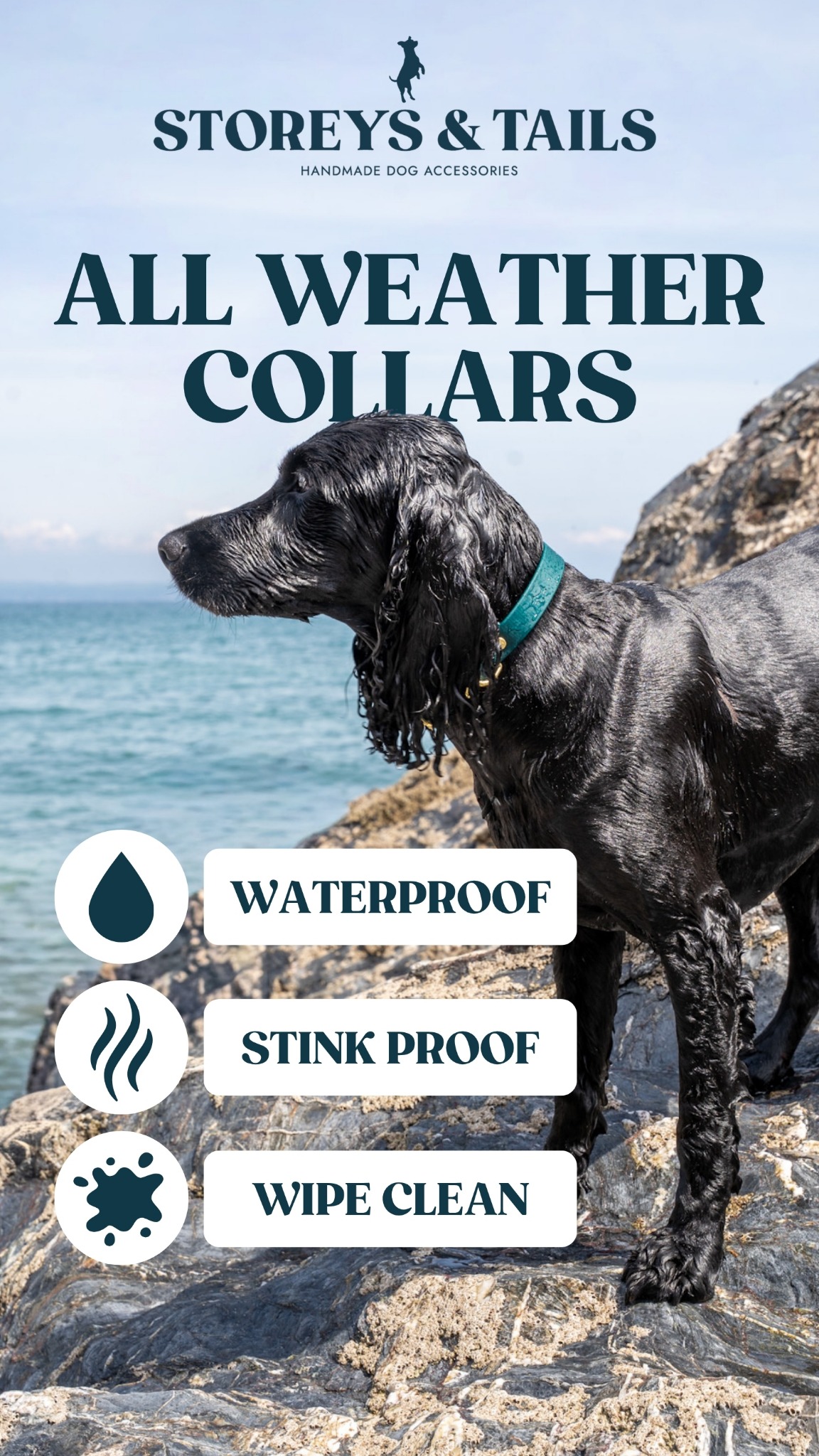Storeys and Tails Facebook ad
