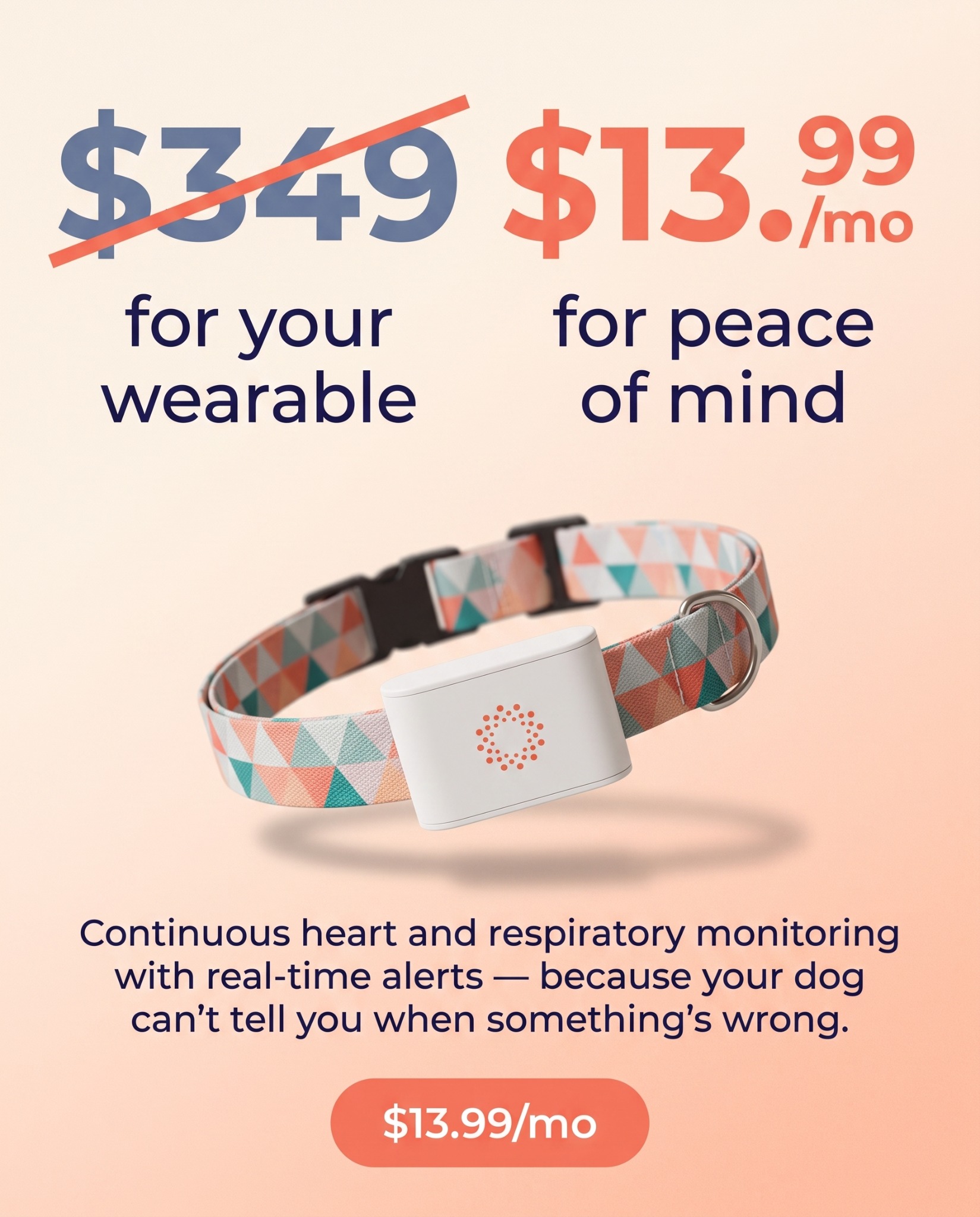 Maven Pet Facebook ad