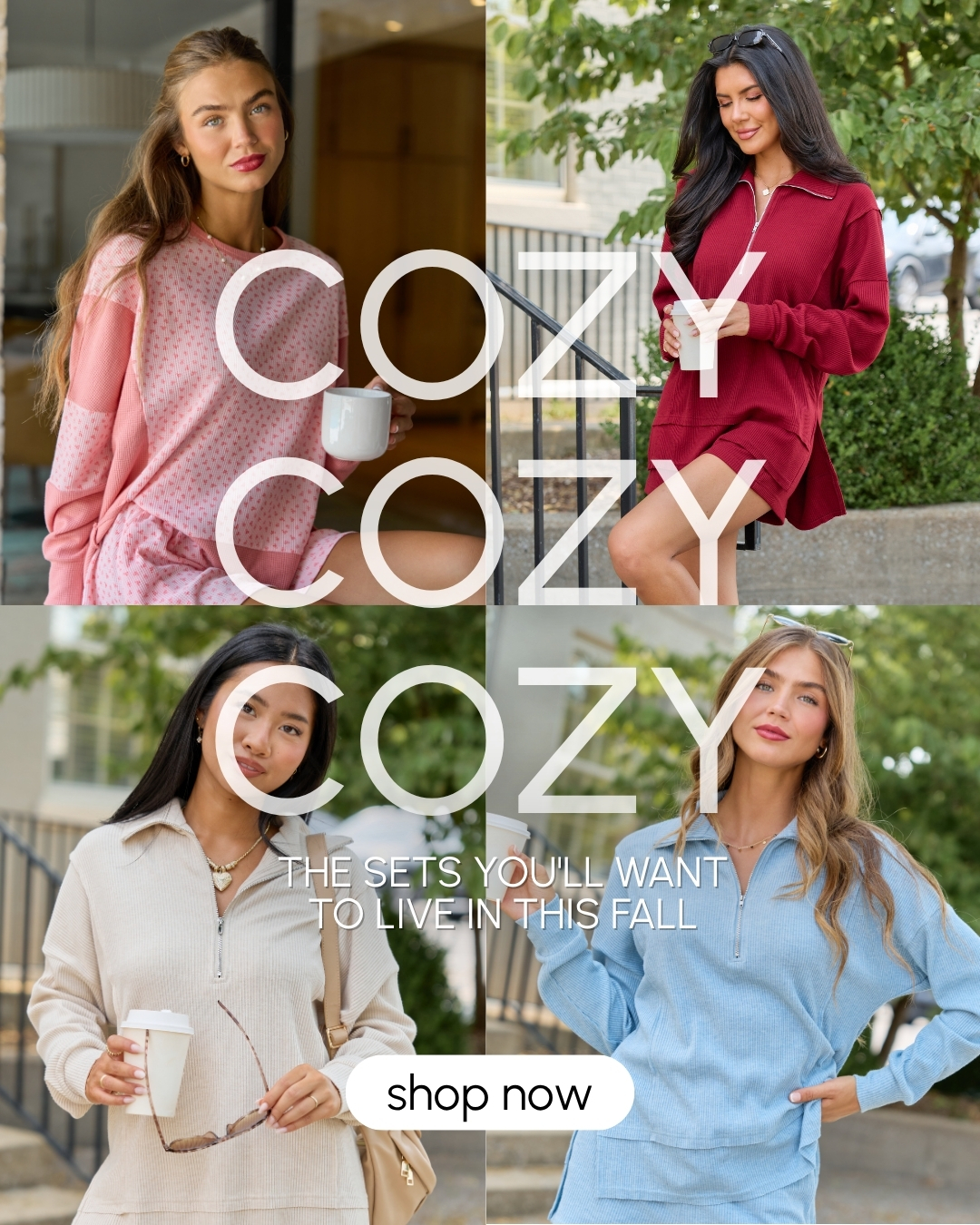Pink Lily Facebook ad: Shop Fall Favorites