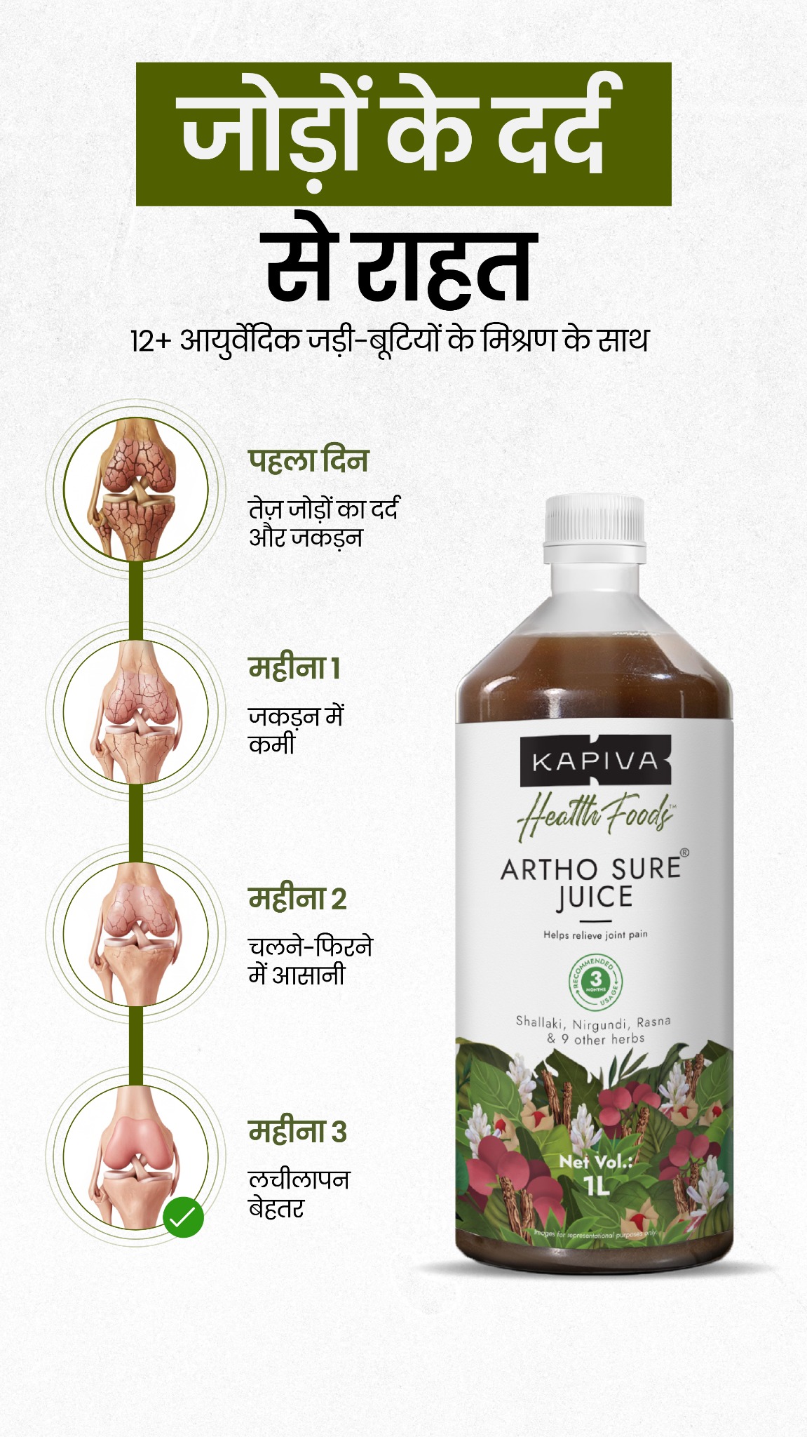 Chronic Health Solutions by Kapiva Facebook ad