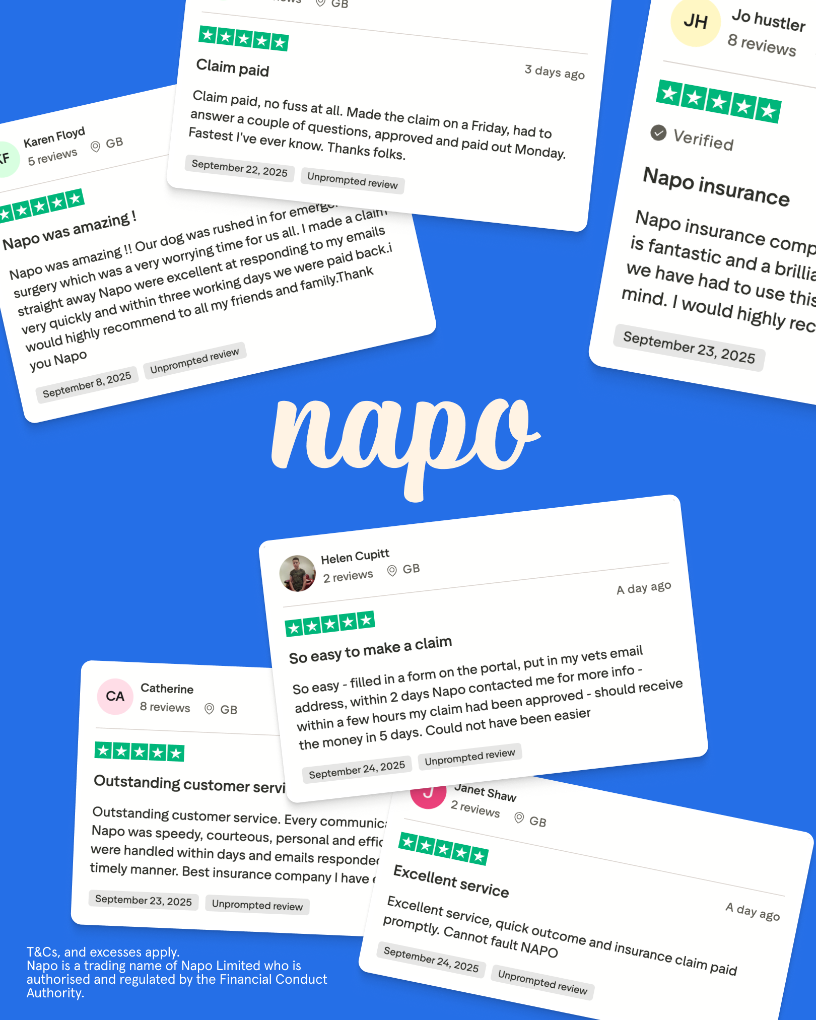 Napo Pet Insurance Facebook ad
