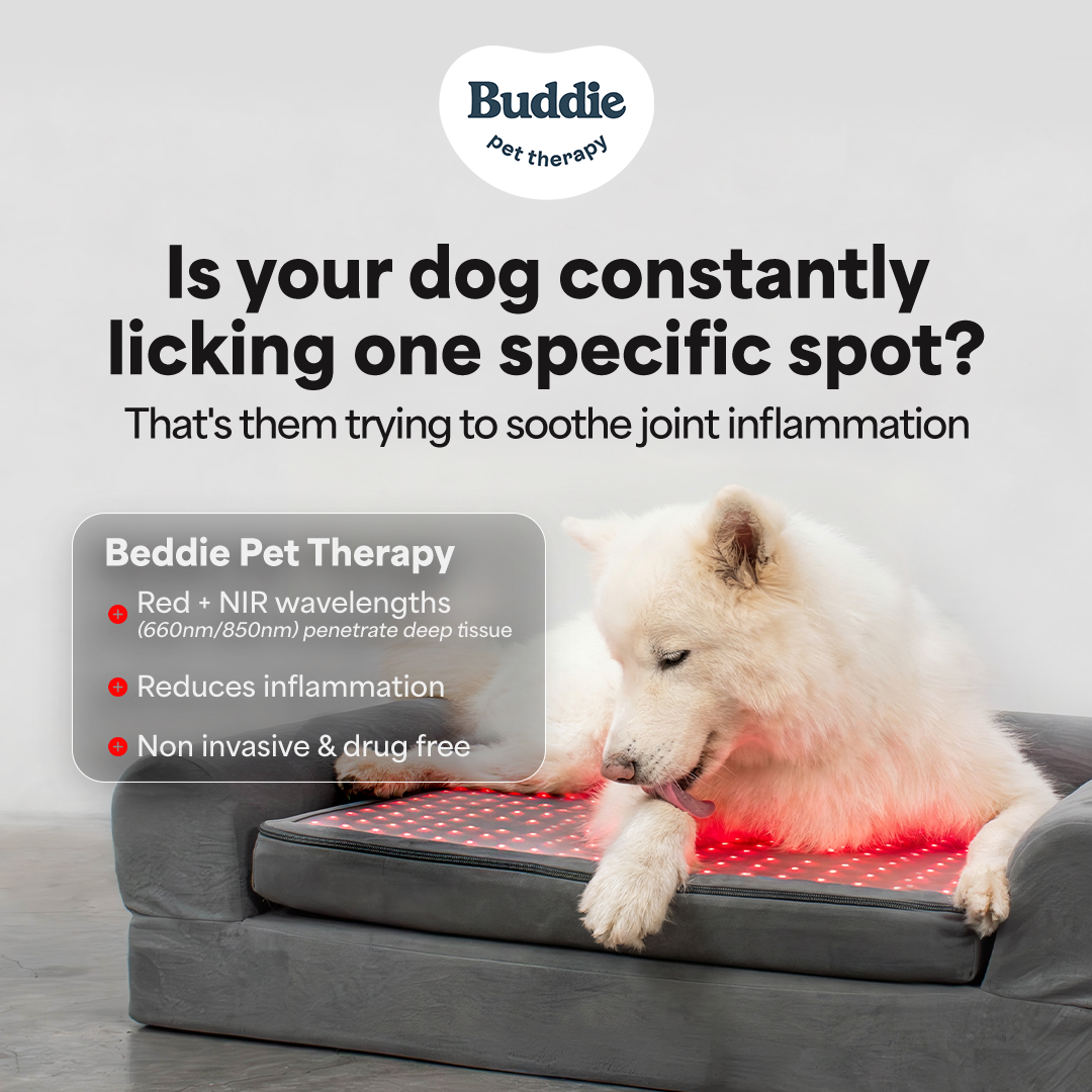 Buddie Pet Therapy Facebook ad