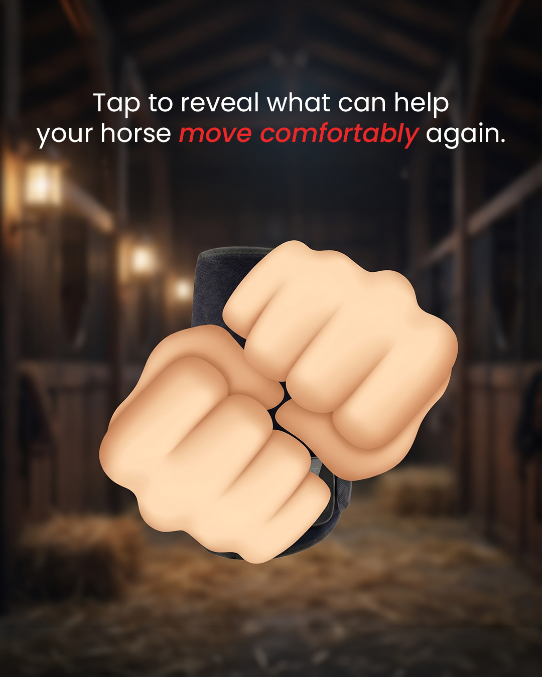 HorseHalo Facebook ad