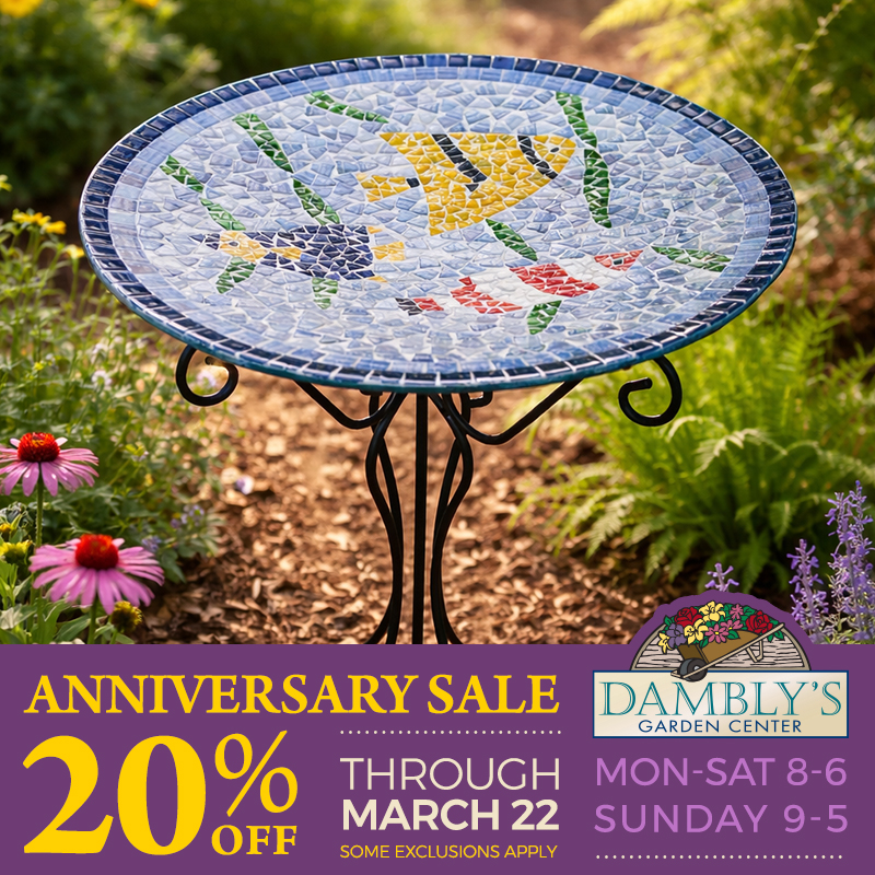 Dambly's Garden Center Facebook ad