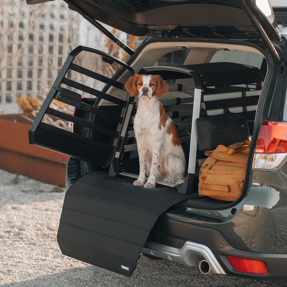 Thule Facebook ad