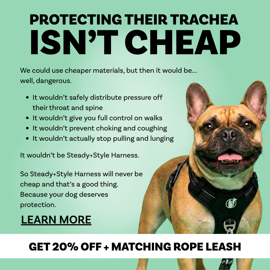 PawSafe Facebook ad