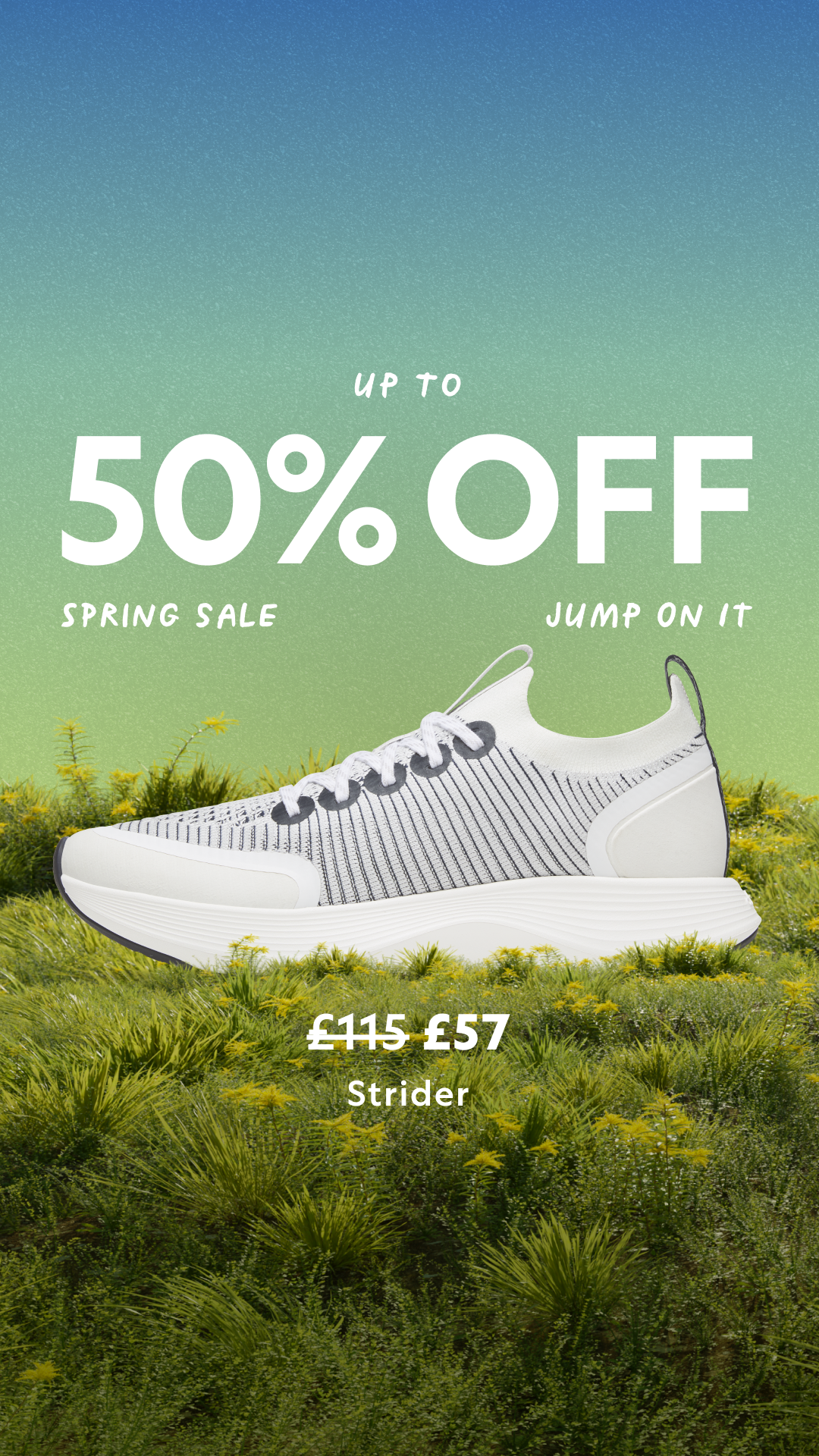 Allbirds Facebook ad