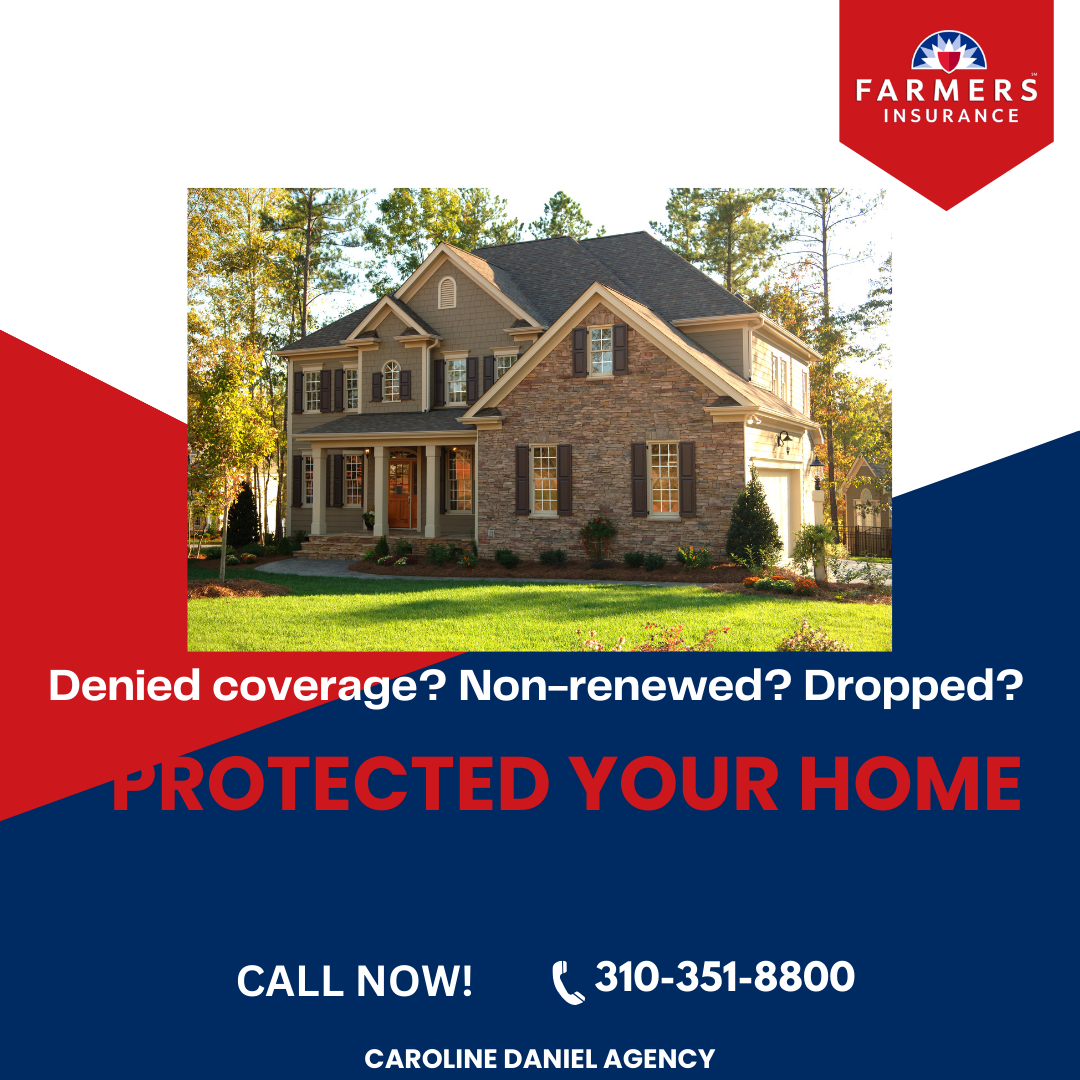 Caroline Daniel - Farmers Insurance Facebook ad: Protect Your Home