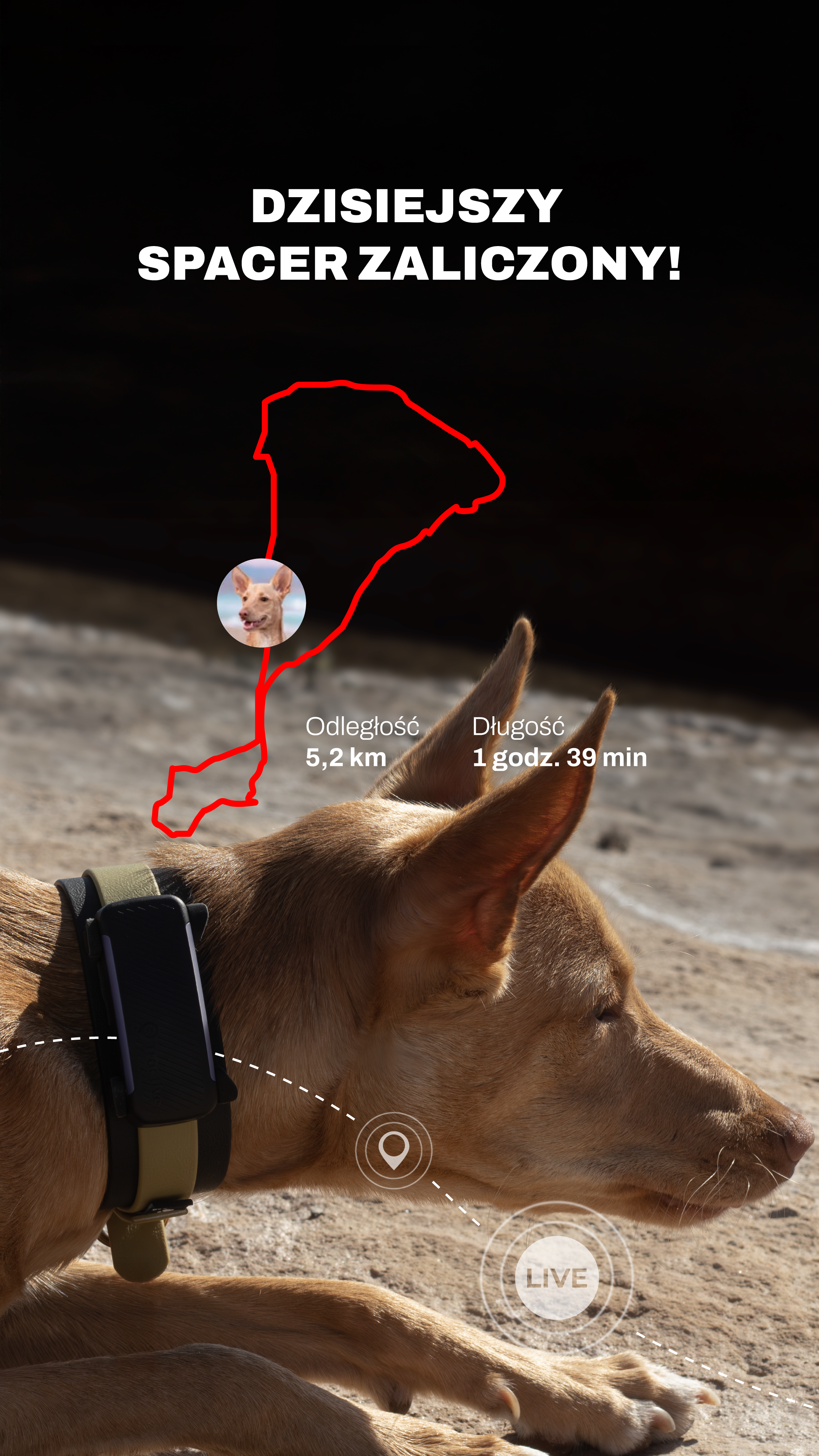 laki_podenco Facebook ad