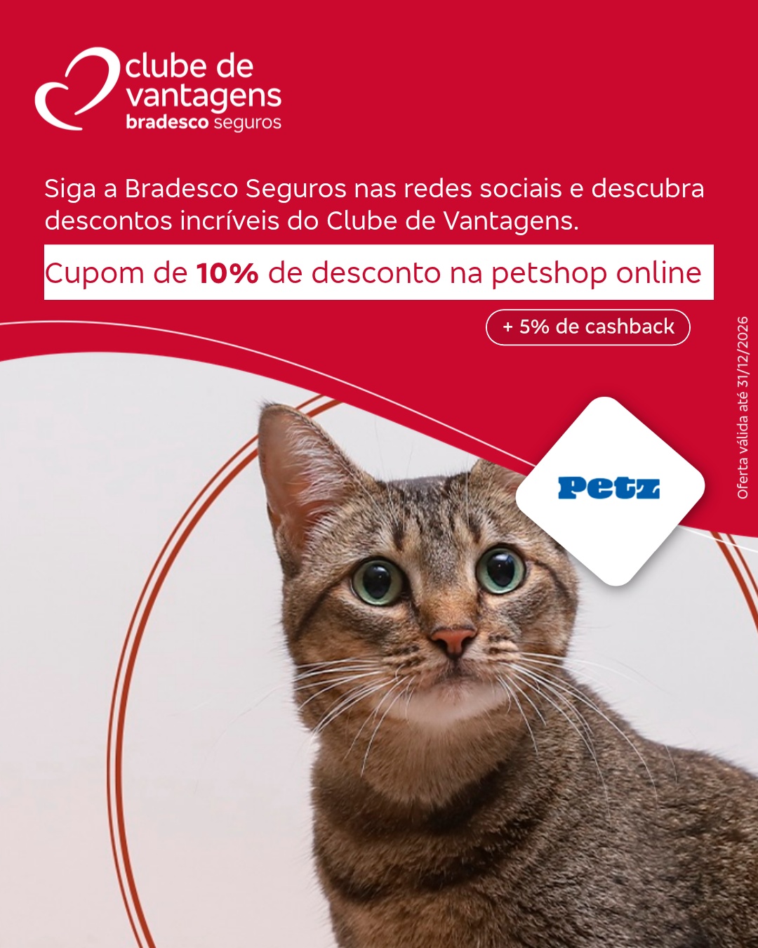 Bradesco Seguros Facebook ad: Descubra benefícios e cashback incríveis nas principais…