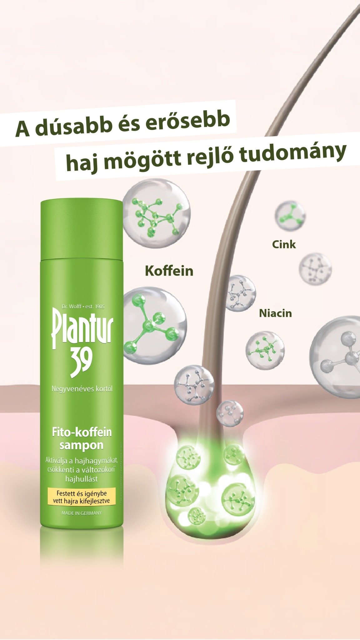 Plantur 39 Facebook ad