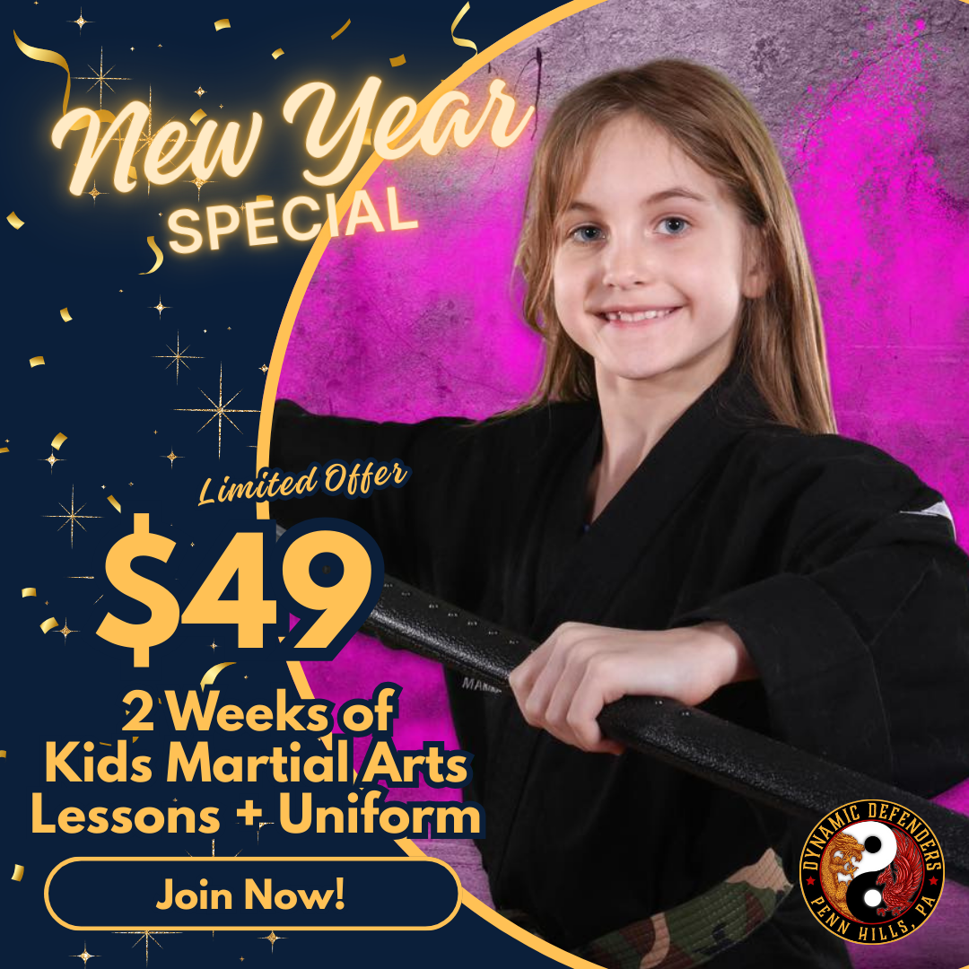Dynamic Defenders ATA Martial Arts Facebook ad
