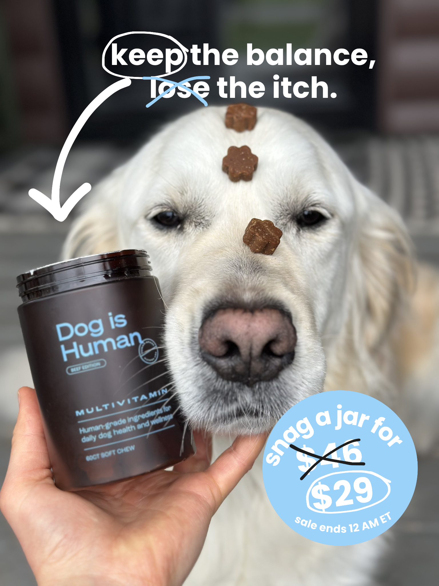 Dog is Human Facebook ad