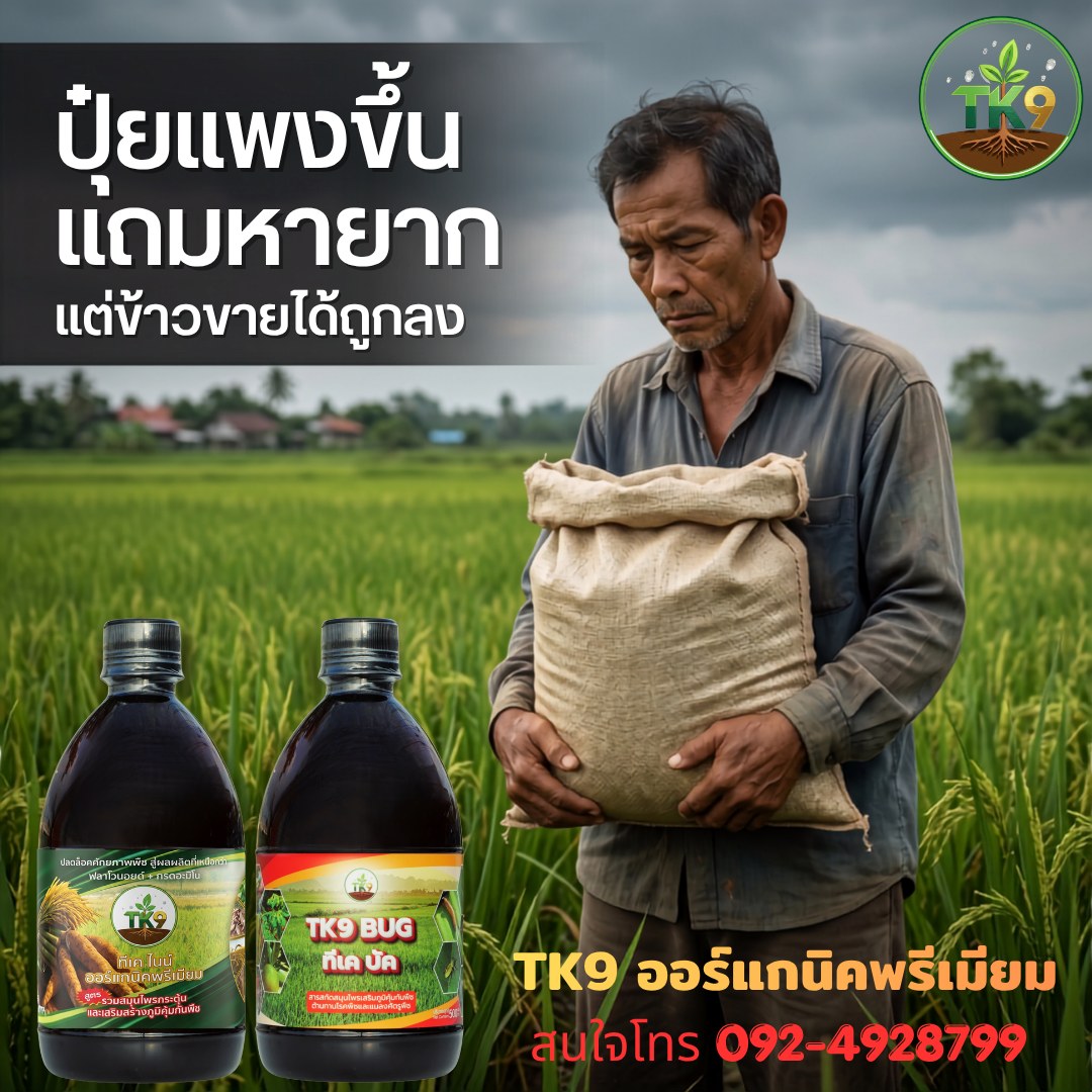 Tk9 ทีเคไนน์ ออร์แกนิคพรีเมียม นวัตกรรมสารสกัดจากธรรมชาติ เพื่อเกษตรกรไทย Facebook ad