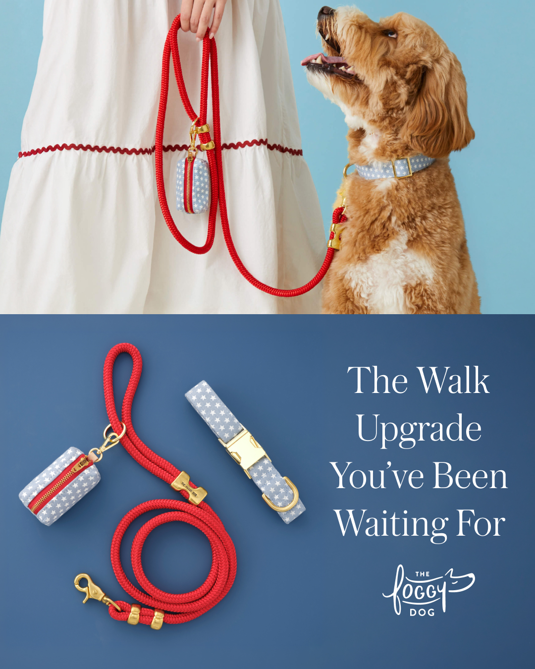 The Foggy Dog Facebook ad
