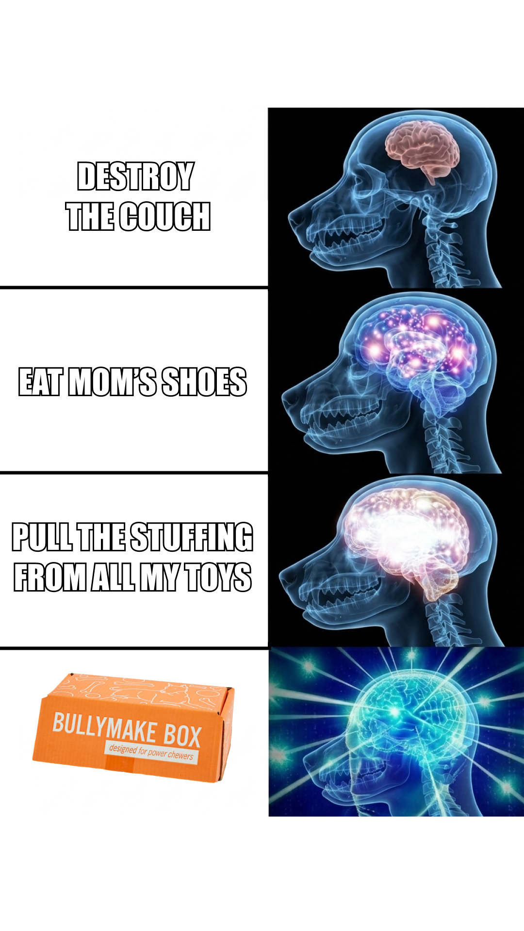 BULLYMAKE Facebook ad
