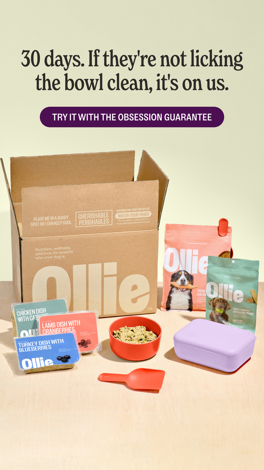 Ollie Facebook ad