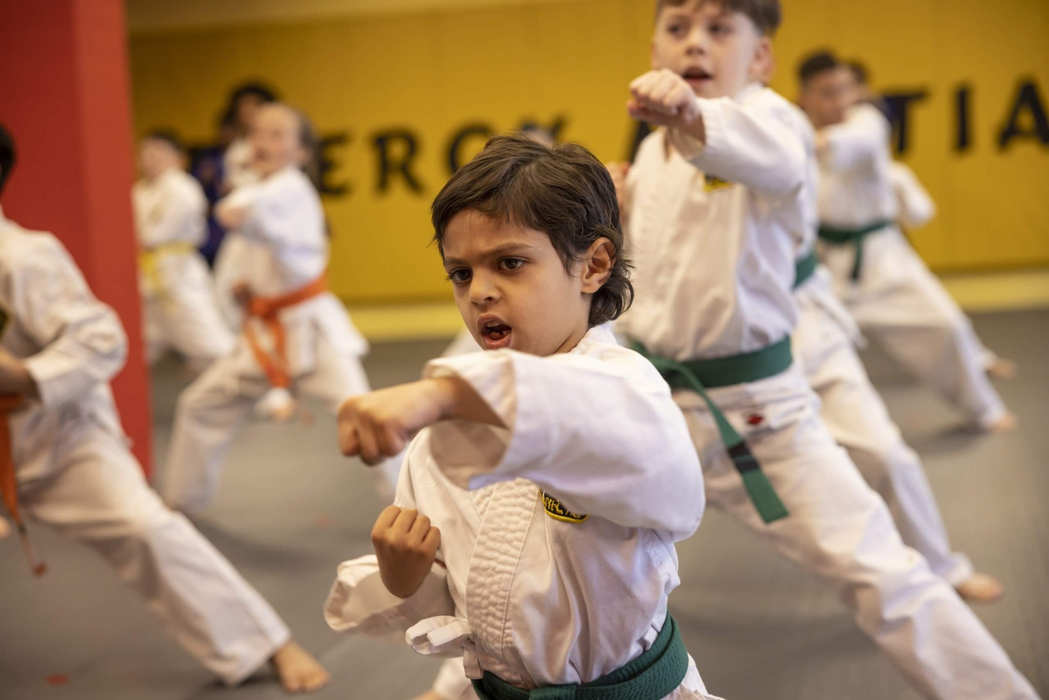 Energy Martial Arts Academy Facebook ad