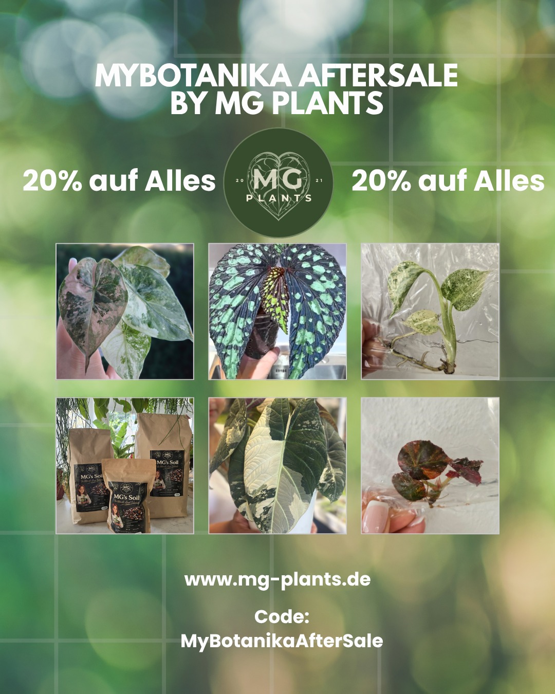 MG Plants Store Facebook ad: Seltene Zimmerpflanzen kaufen | MG Plants Bonn