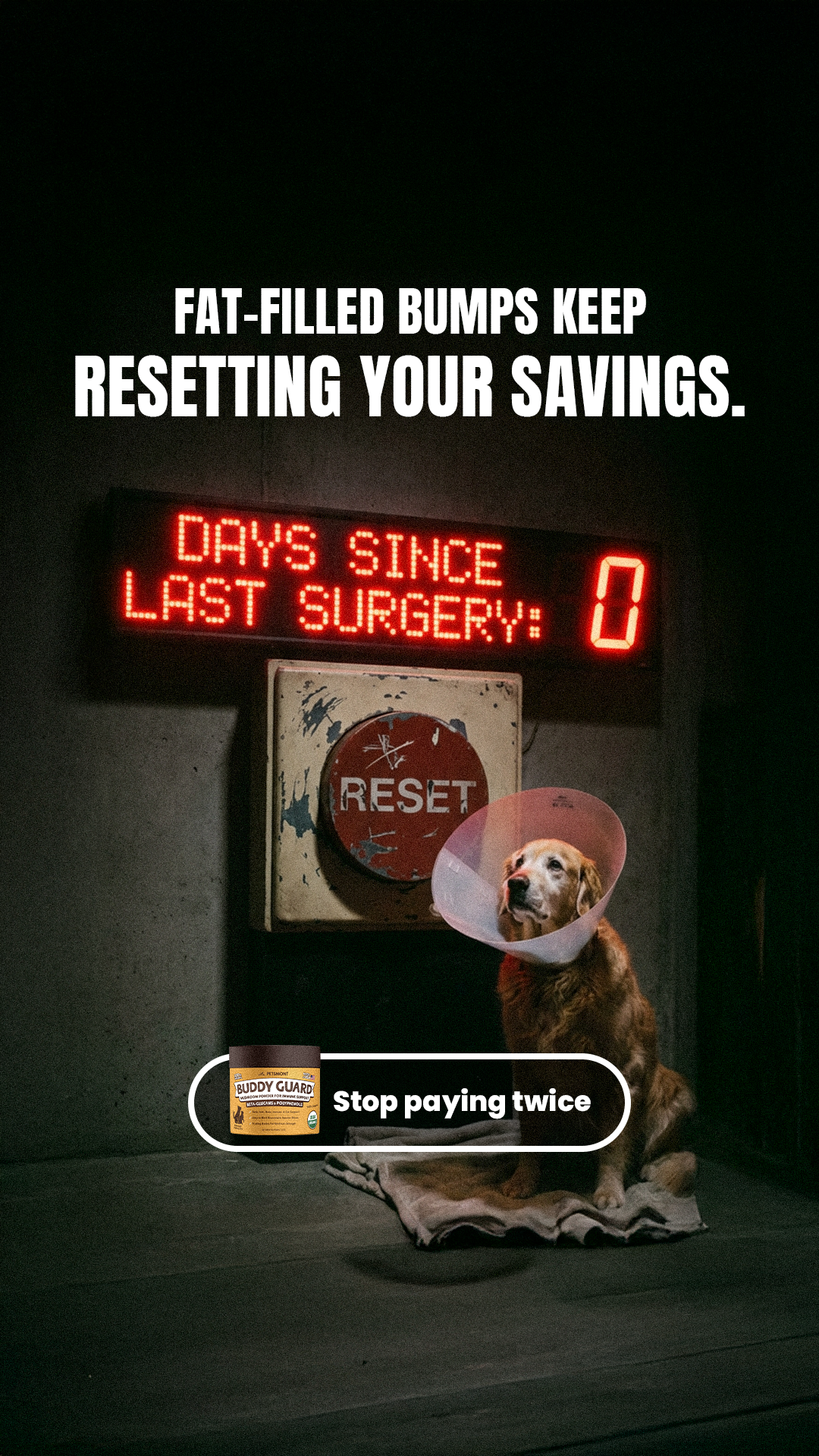 Petsmont Facebook ad