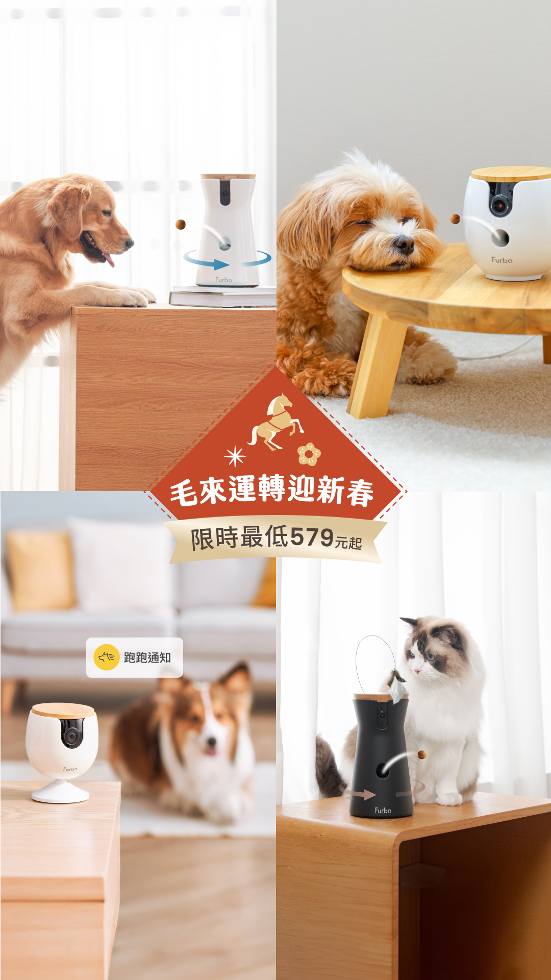 Furbo 寵物攝影機 Facebook ad