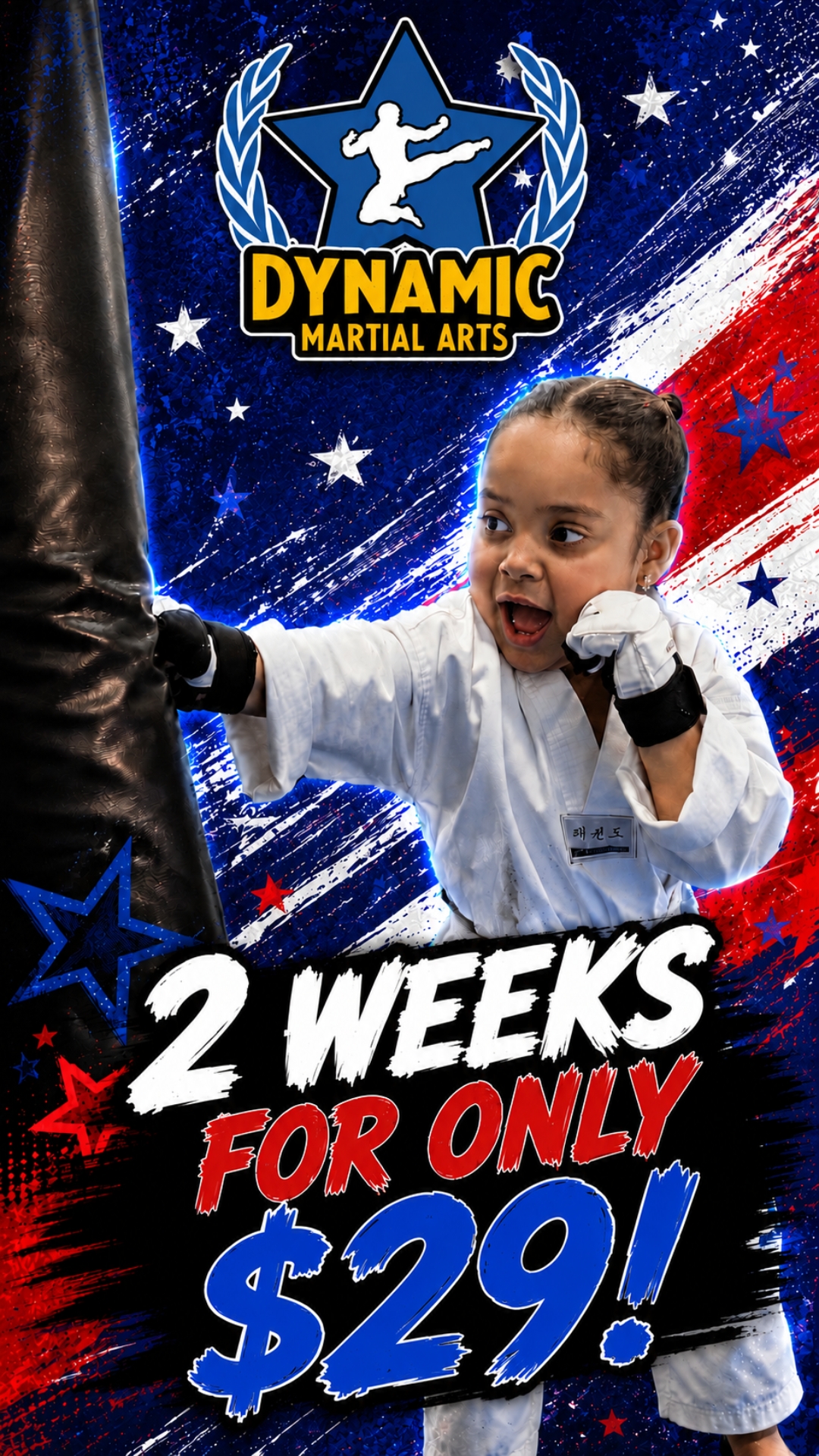 Dynamic Martial Arts Facebook ad