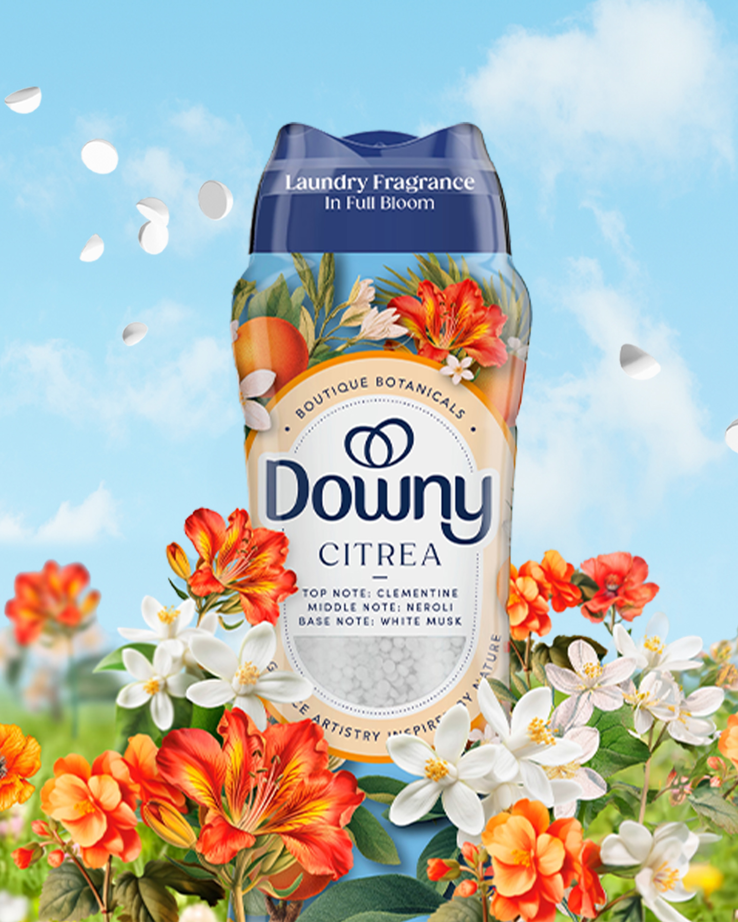 Target Facebook ad: Downy