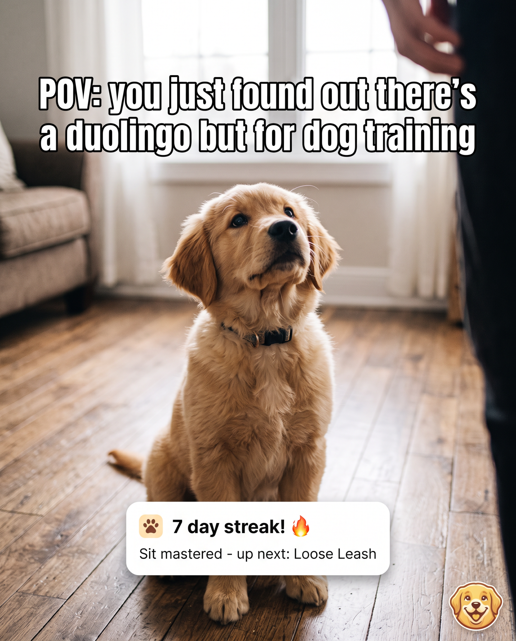 Dog Care Facebook ad