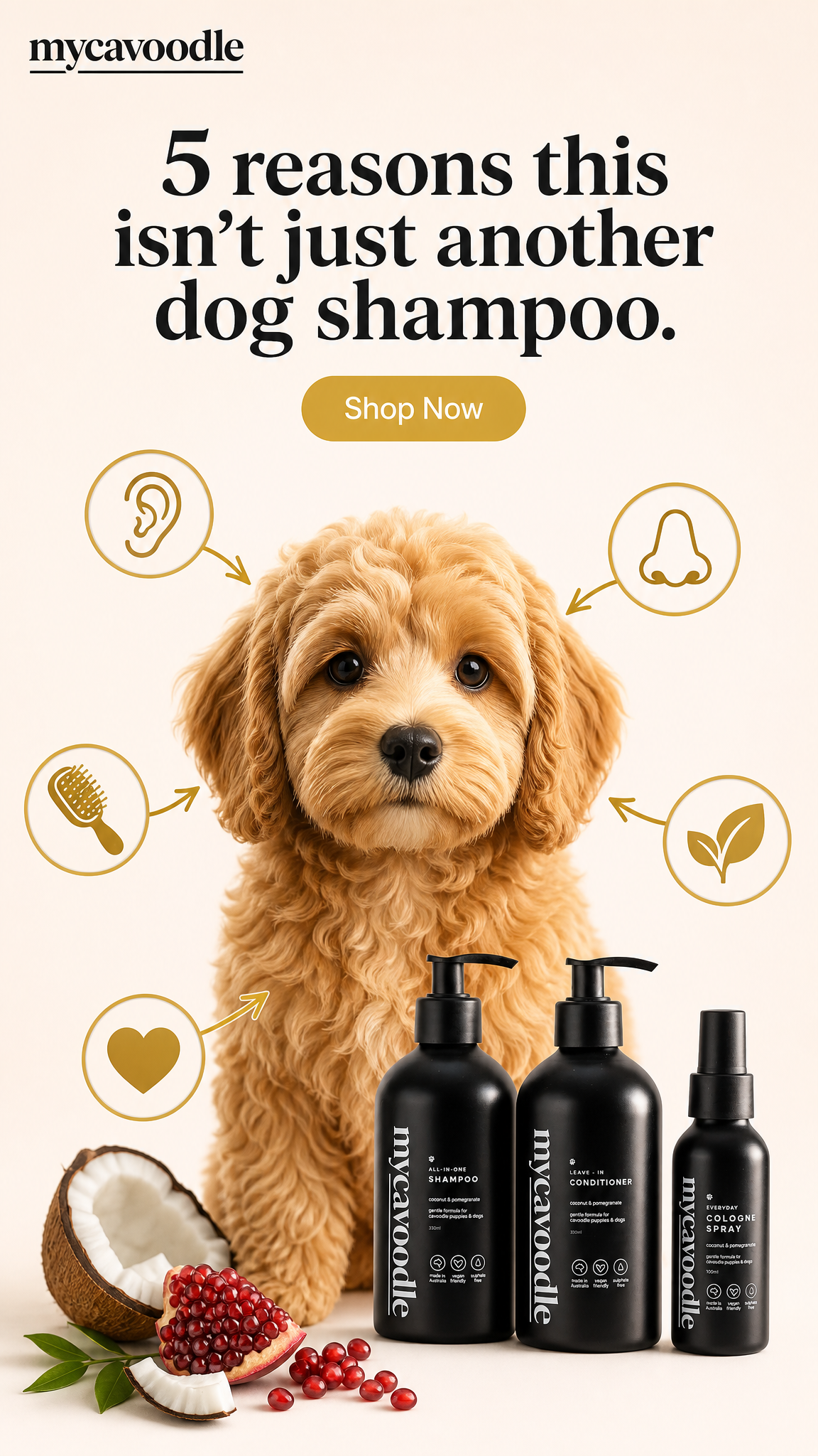 Mycavoodle.com.au Facebook ad