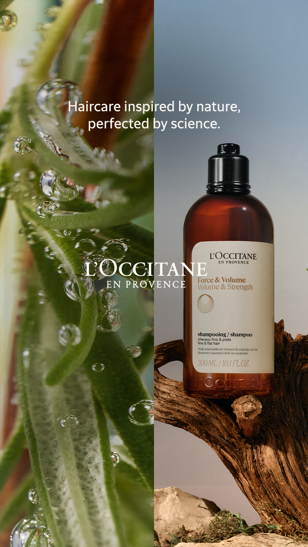 L'OCCITANE en Provence Facebook ad