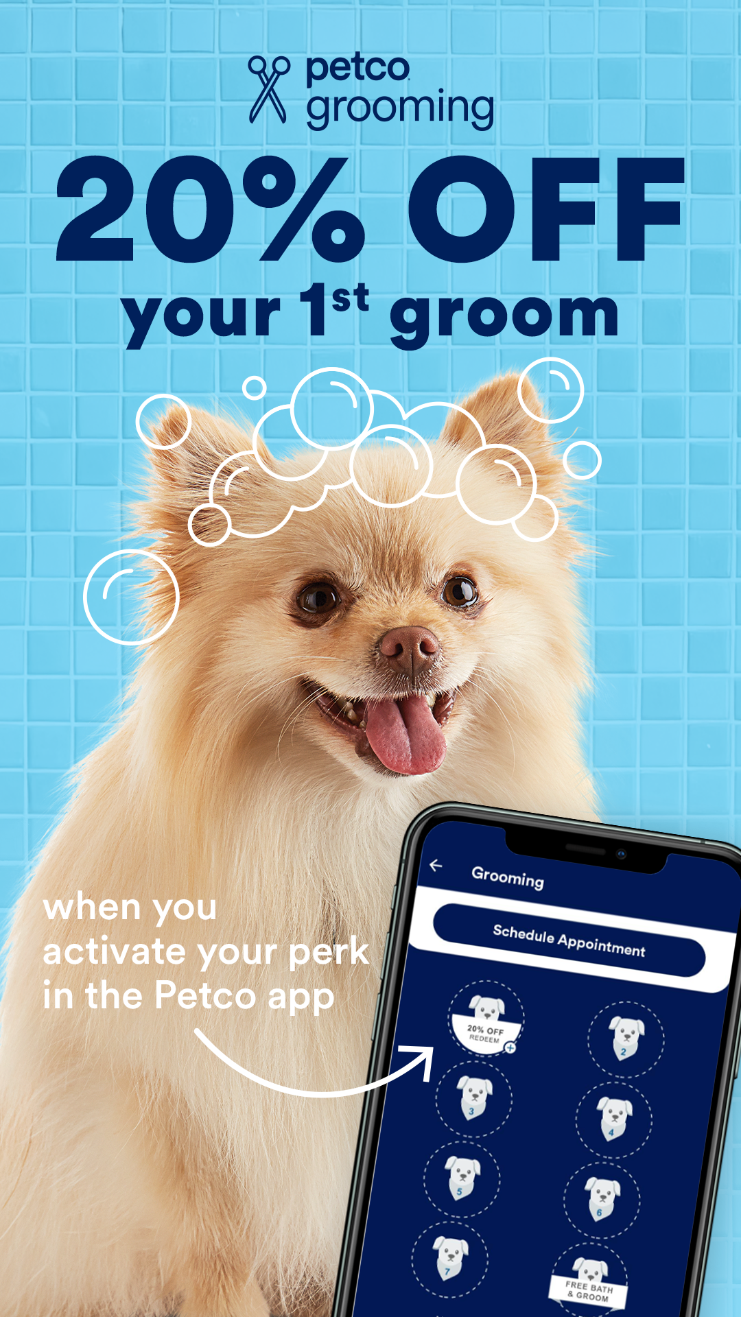 Petco Facebook ad