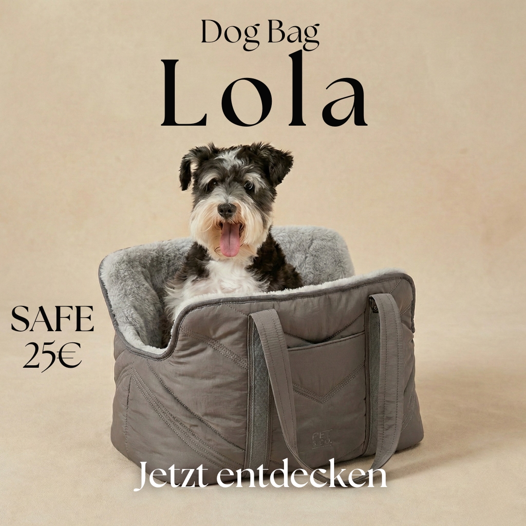 PET & Co. Zürich Facebook ad: Jetzt Rabattode nutzen