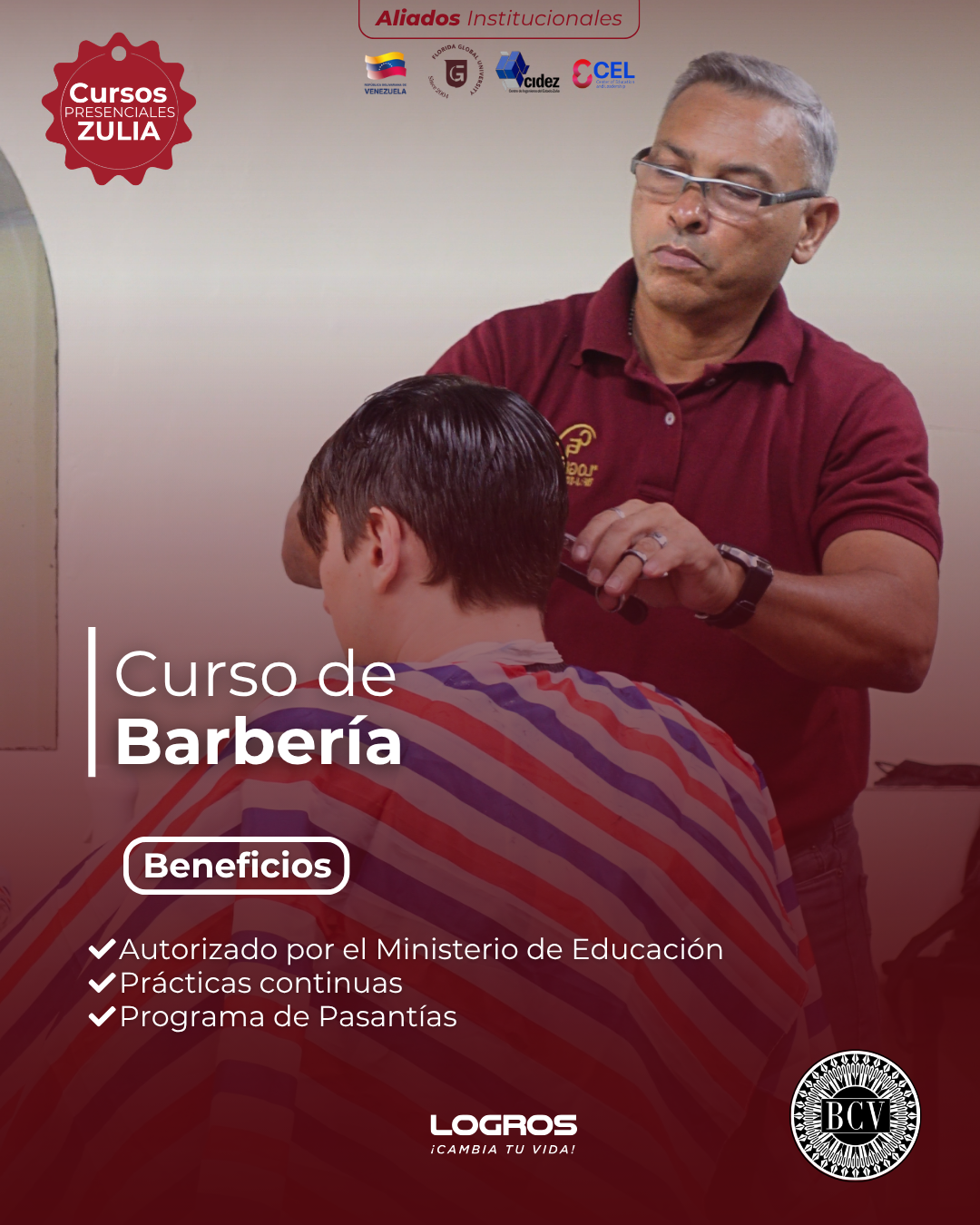 Cursos Logros Facebook ad