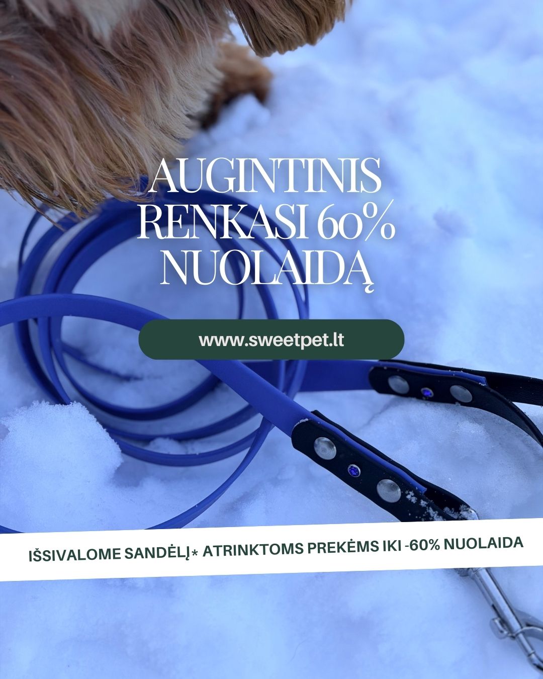 Sweet Pet Facebook ad