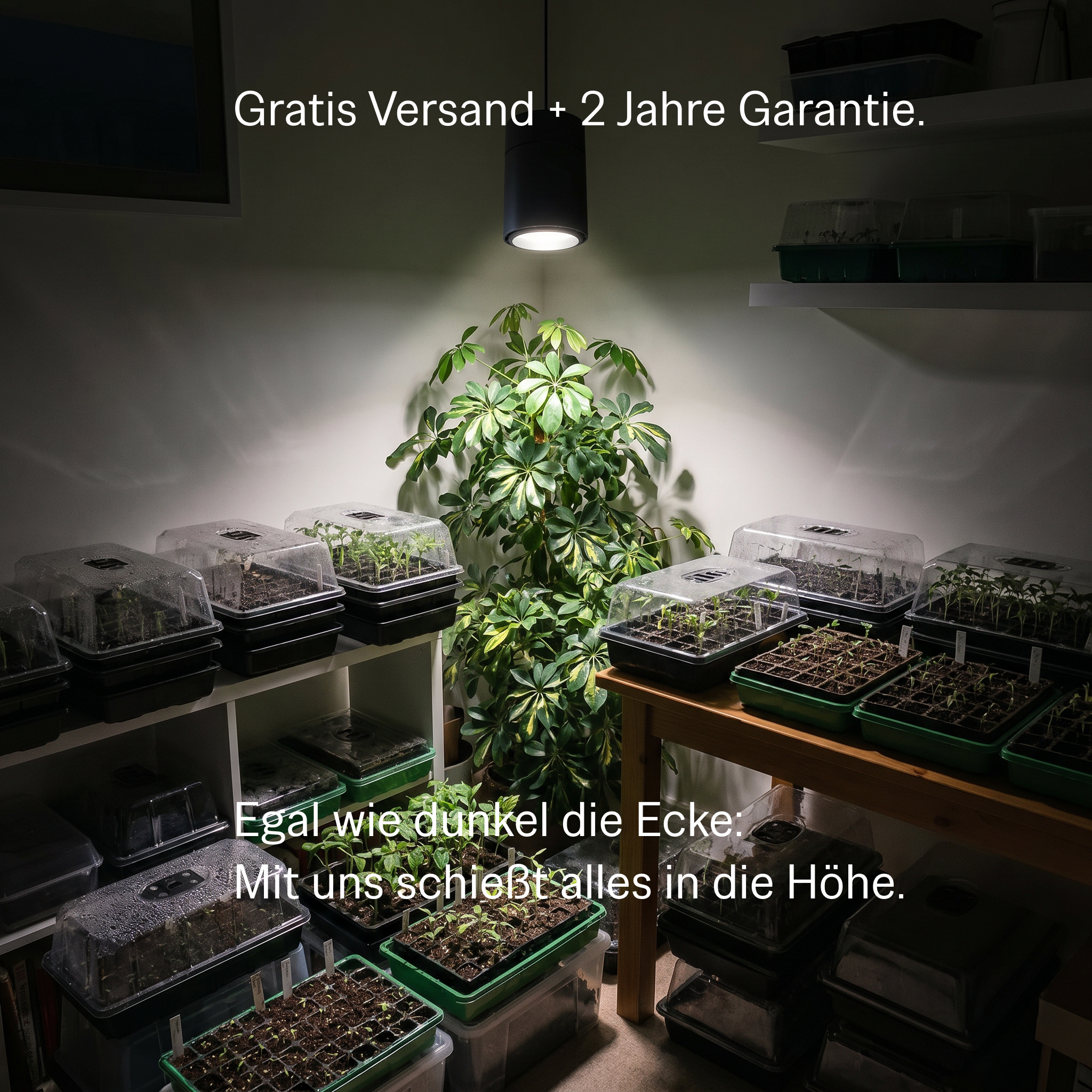 Grow Gang Facebook ad: Grow Gang ist endlich in Deutschland!