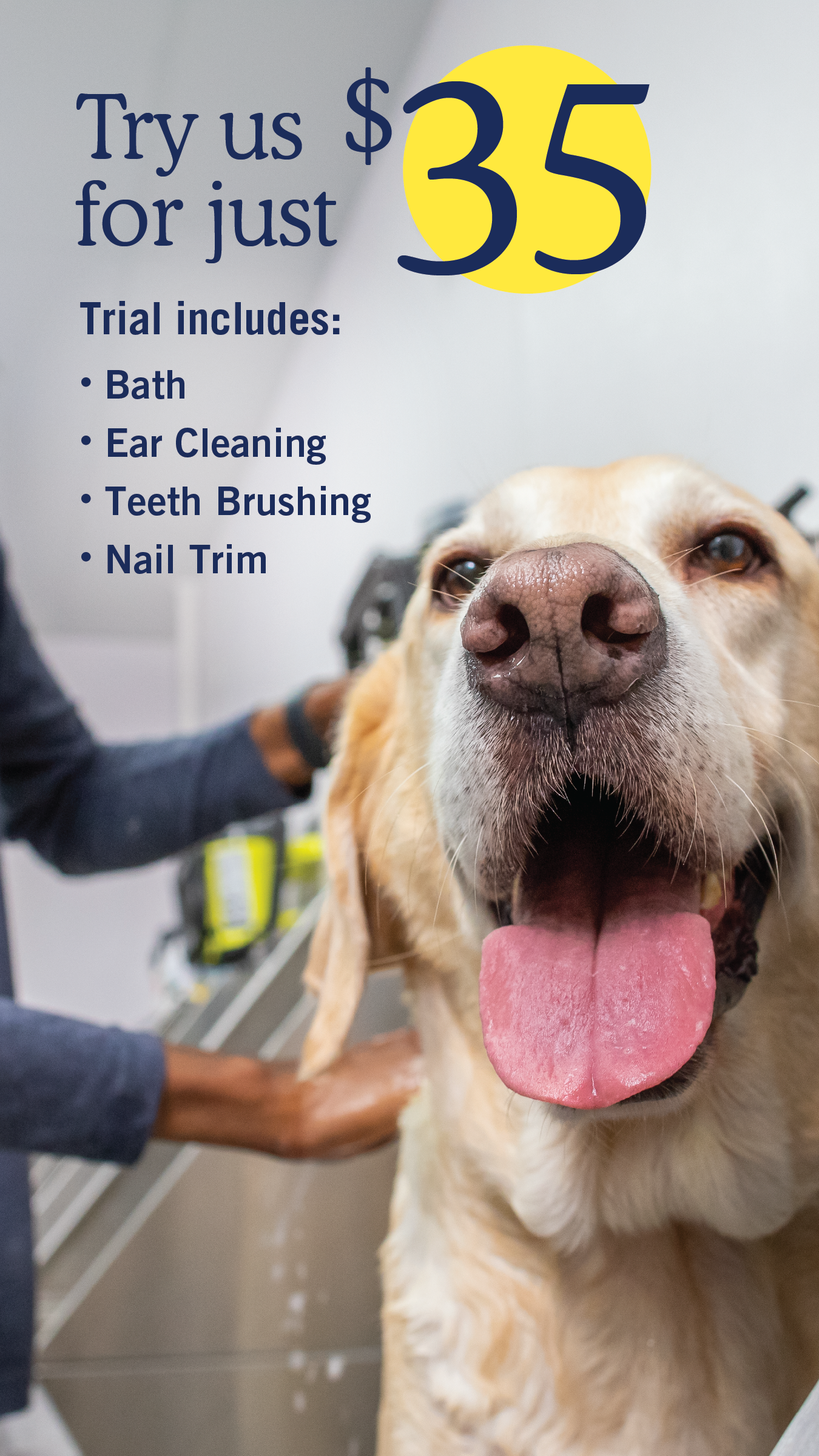 Scenthound Facebook ad