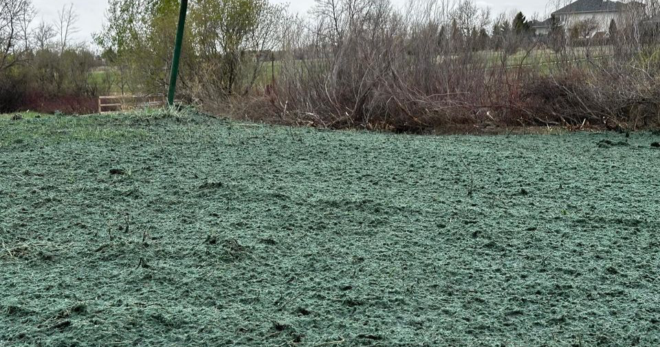 SoilEx Hydroseed & Earthworks Facebook ad: Serving all of Saskatchewan in hydroseed, erosion control…