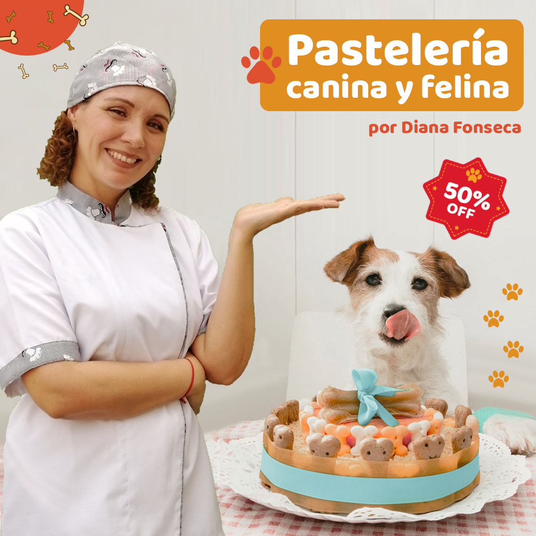 Petz school Facebook ad: ¿Amas a los animales?