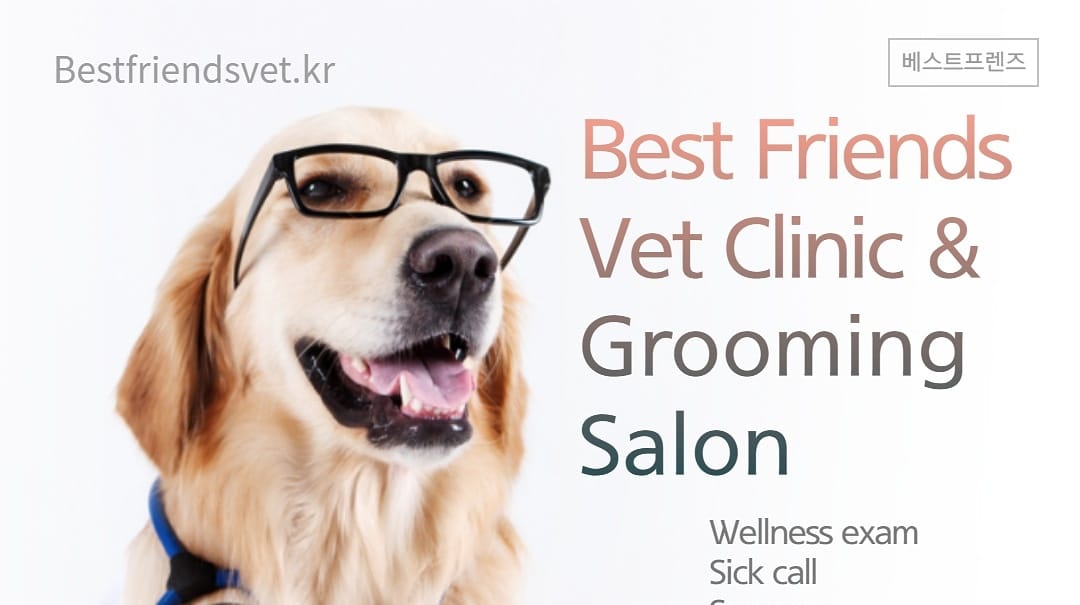 Best Friends Vet Clinic Osan Facebook ad: Chat in Messenger