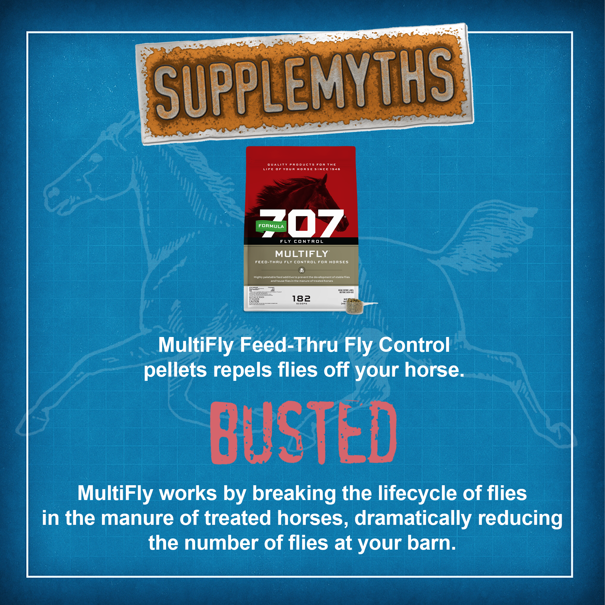 Formula 707 Facebook ad