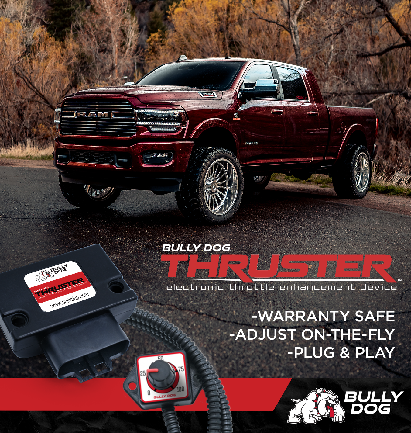 Bully Dog Facebook ad