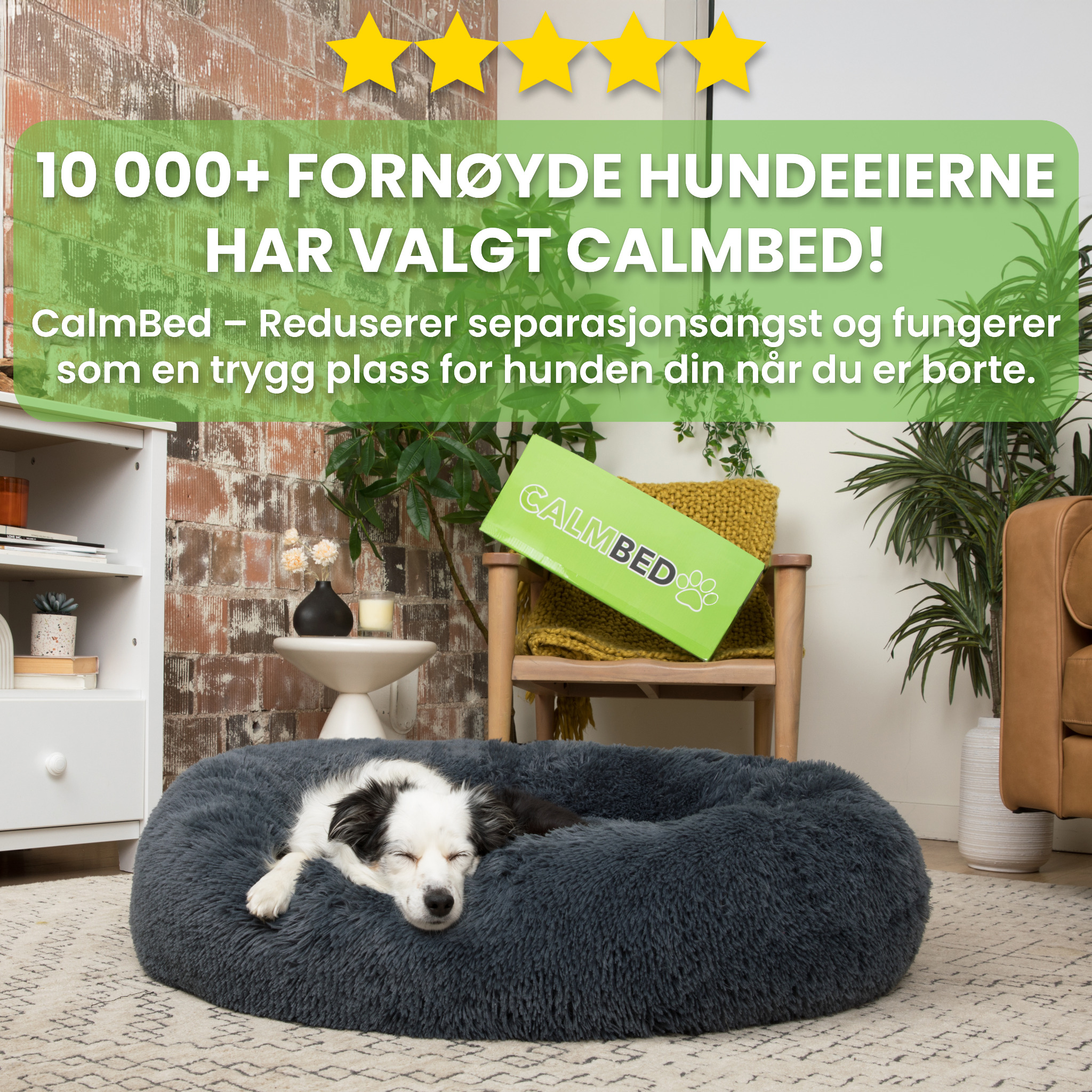 CalmBed.no Facebook ad: Norges beste hundeseng