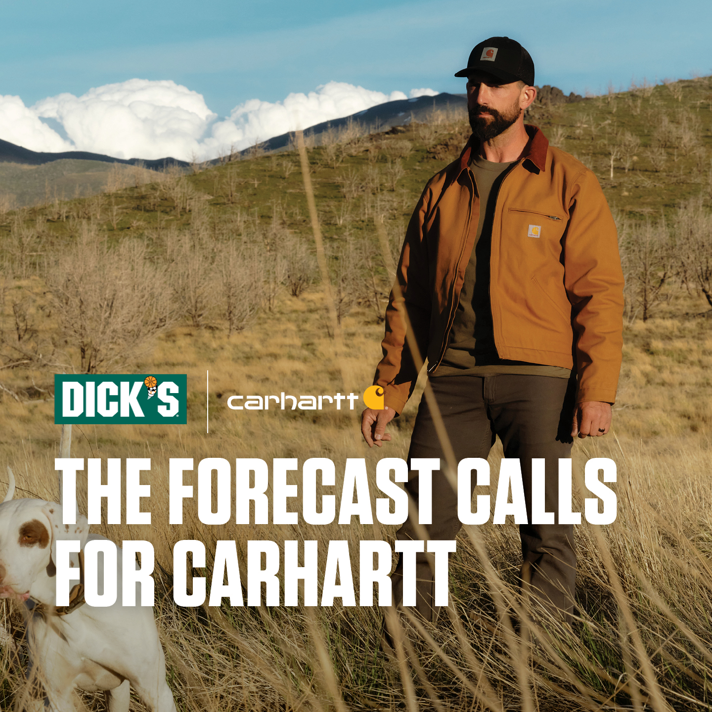DICK'S Sporting Goods Facebook ad: Stock Up to Take Down Fall