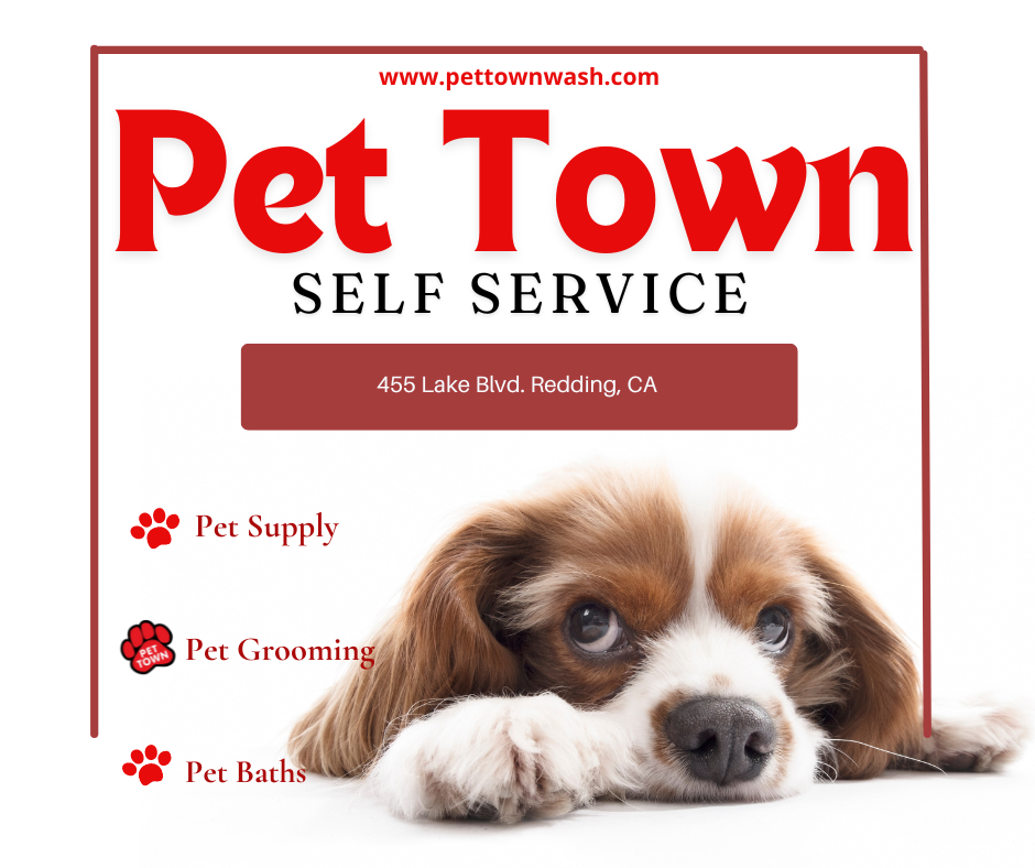 Pet Town Self-Serve Pet Wash & Supply - Redding Facebook ad